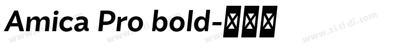 Amica Pro bold字体转换